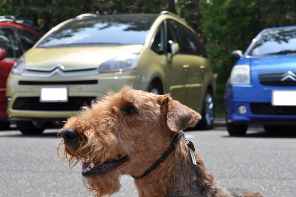 0427hurehure (58).JPG